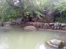 Воронцовский дворец и парк