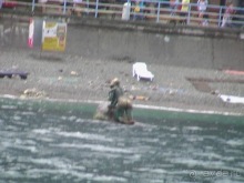 Воронцовский дворец и парк