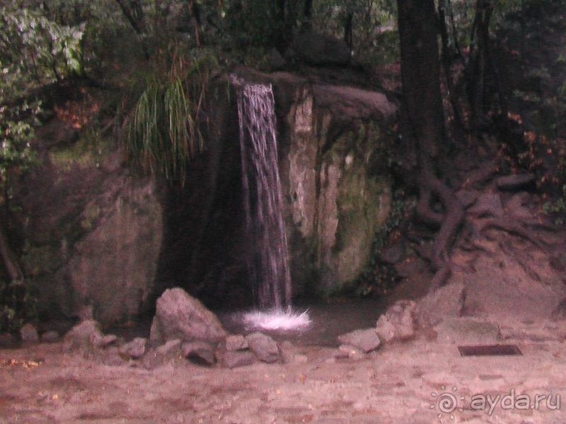 Воронцовский дворец и парк