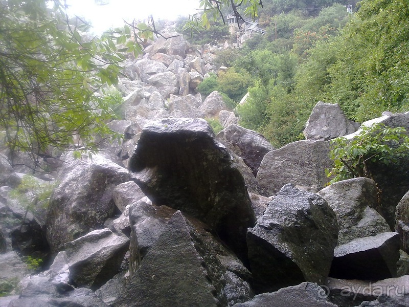 Воронцовский дворец и парк