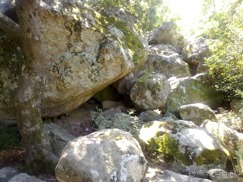 Воронцовский дворец и парк