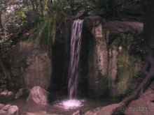 Воронцовский дворец и парк