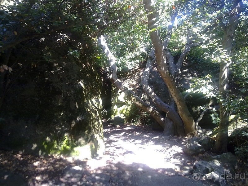 Воронцовский дворец и парк