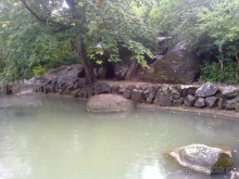 Воронцовский дворец и парк