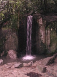 Воронцовский дворец и парк