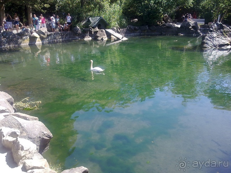 Воронцовский дворец и парк