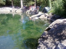 Воронцовский дворец и парк