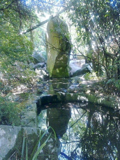 Воронцовский дворец и парк