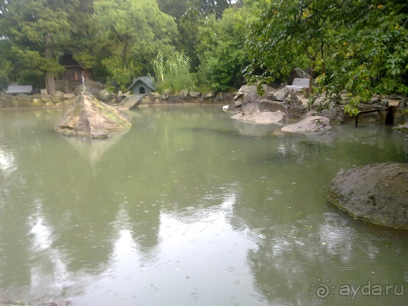 Воронцовский дворец и парк