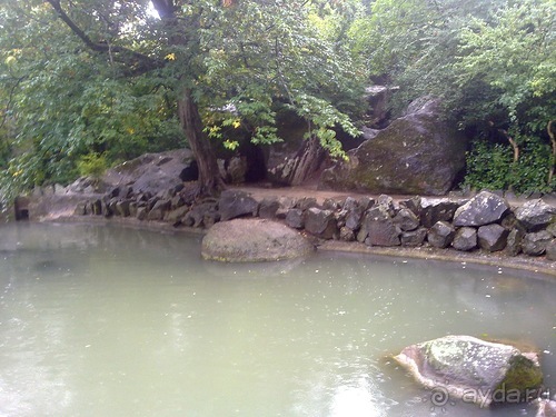 Воронцовский дворец и парк