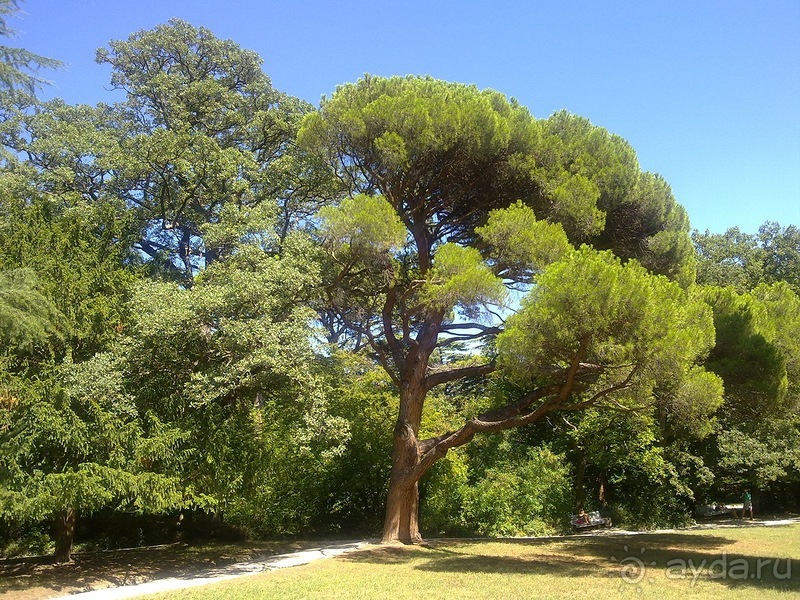 Воронцовский дворец и парк