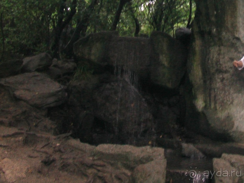 Воронцовский дворец и парк