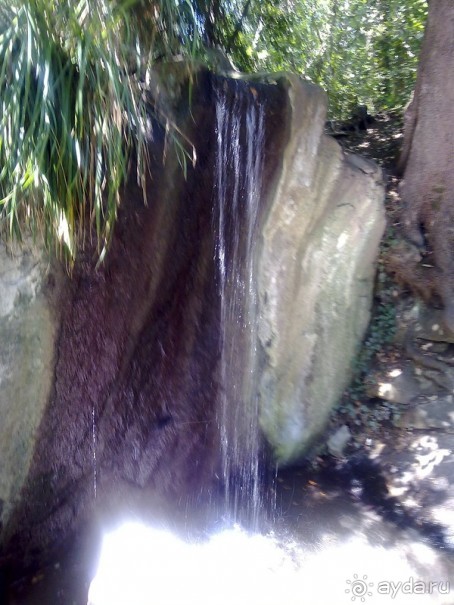 Воронцовский дворец и парк