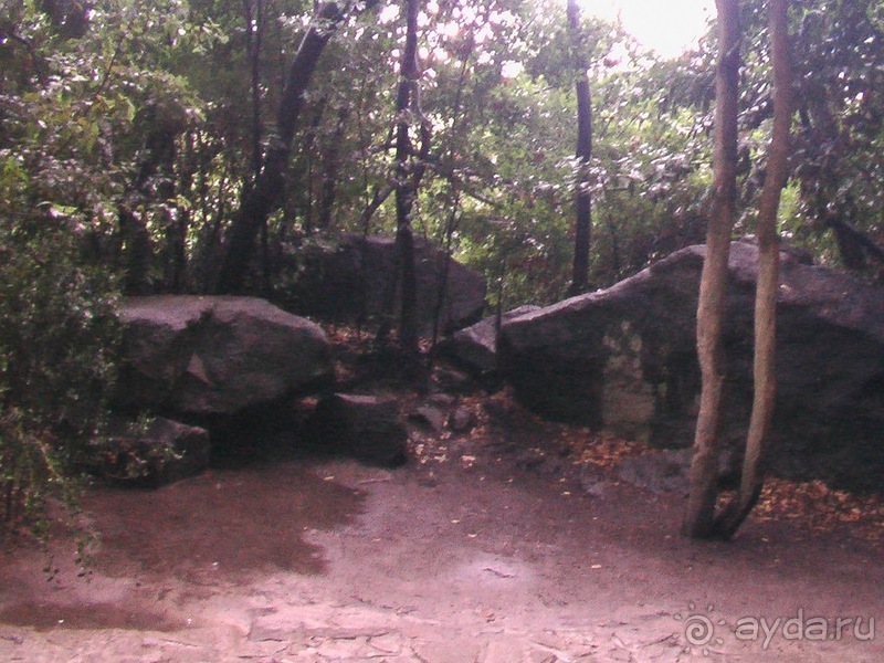 Воронцовский дворец и парк