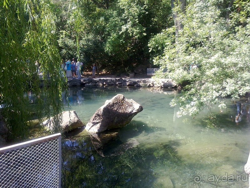 Воронцовский дворец и парк