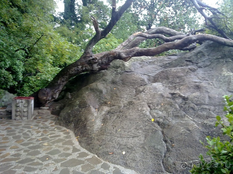 Воронцовский дворец и парк