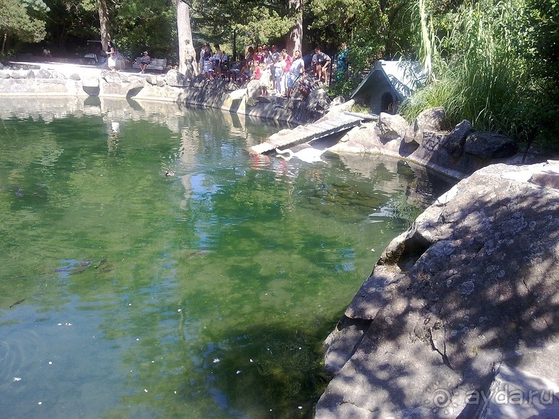 Воронцовский дворец и парк