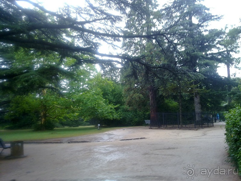 Воронцовский дворец и парк