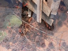 Экскурсия по Вероне