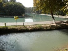 Ташкент современный