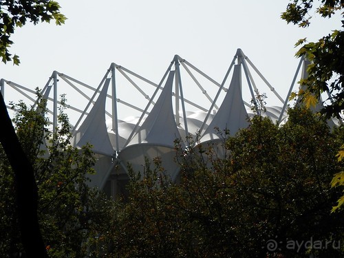 Ташкент современный