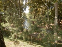 Ташкент современный