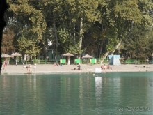 Ташкент современный