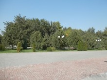 Ташкент современный