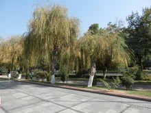 Ташкент современный