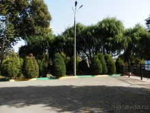 Ташкент современный