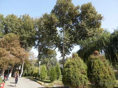 Ташкент современный