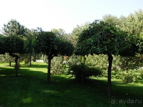 Ташкент современный