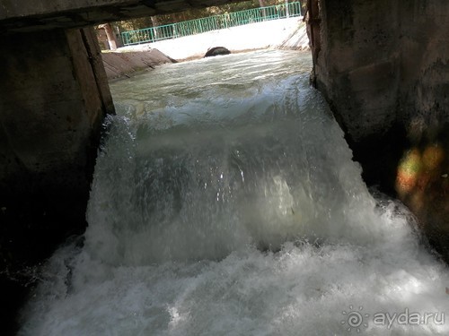 Ташкент современный