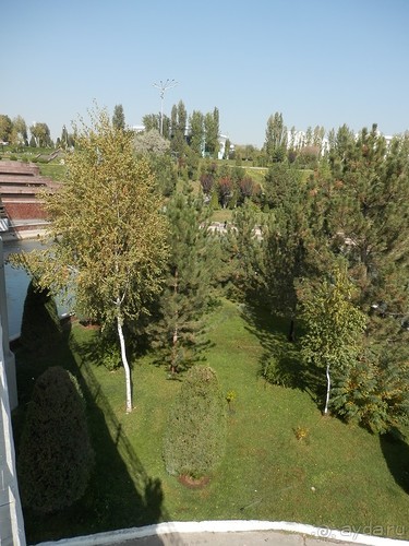 Ташкент современный