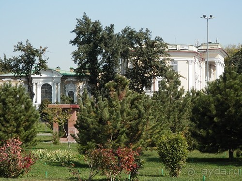 Ташкент современный