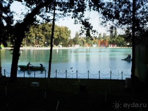 Ташкент современный