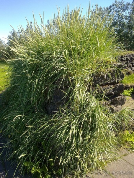 Исландия, день шестой