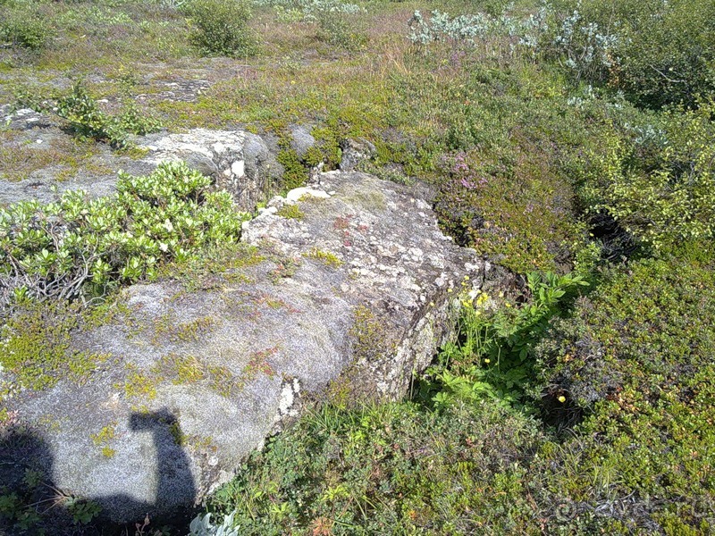 Исландия, день шестой