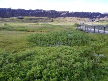 Исландия, день шестой