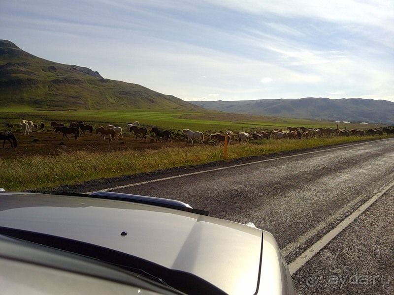 Исландия, день шестой