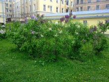 Выходные в Петербурге