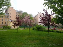 Выходные в Петербурге