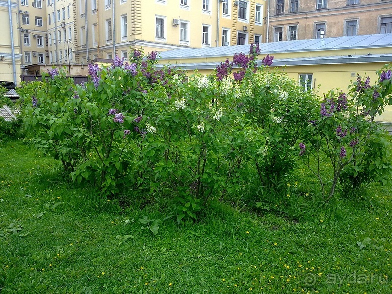 Выходные в Петербурге