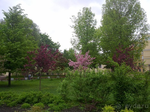 Выходные в Петербурге