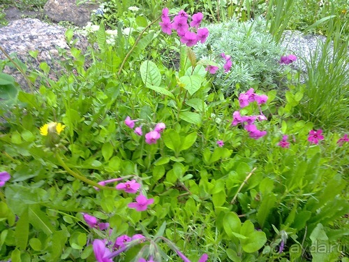 Выходные в Петербурге