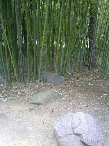 Барселона, день следующий