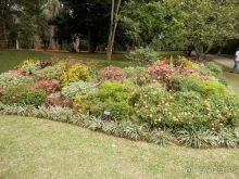 Шри-Ланка - Ботанический сад и немного магазинов