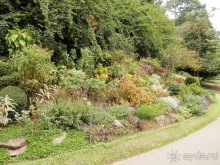 Шри-Ланка - Ботанический сад и немного магазинов