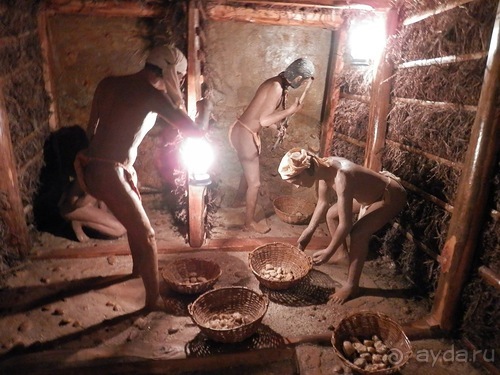 Шри-Ланка - Ботанический сад и немного магазинов