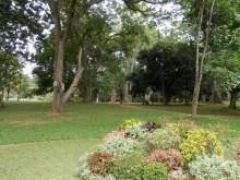 Шри-Ланка - Ботанический сад и немного магазинов